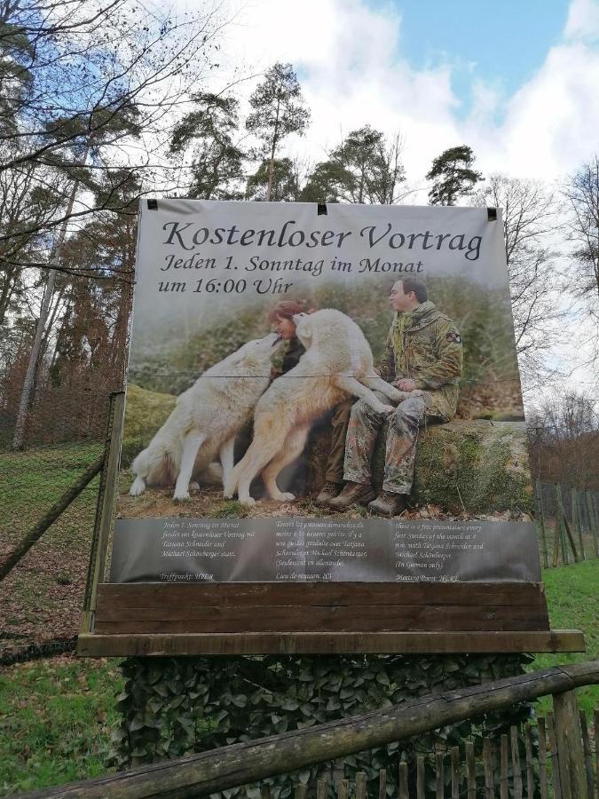 Ferienwohnung Am Wolfsweg Merzig Exterior foto